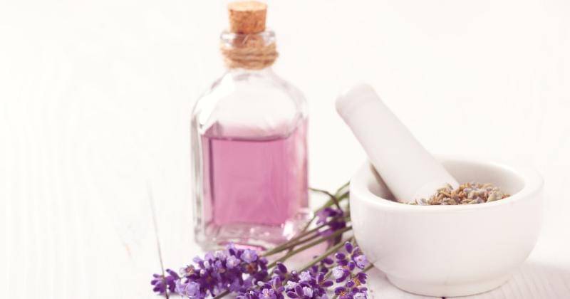 Pixabay/lucianafratelli