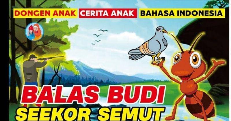 Youtube.com/Ayyasy Official