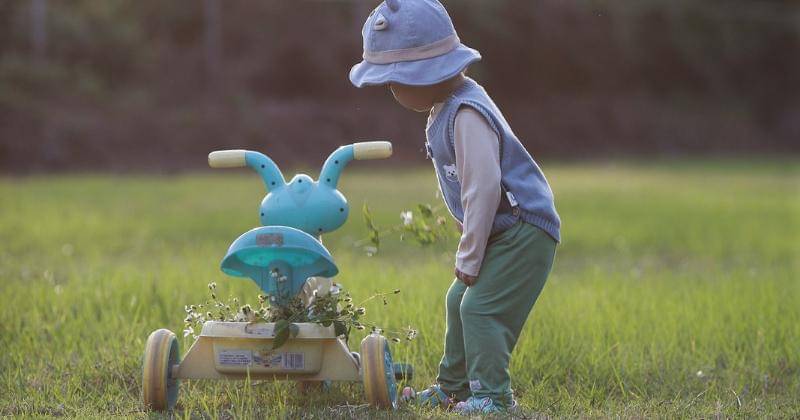 Pixabay/Hainguyen1982