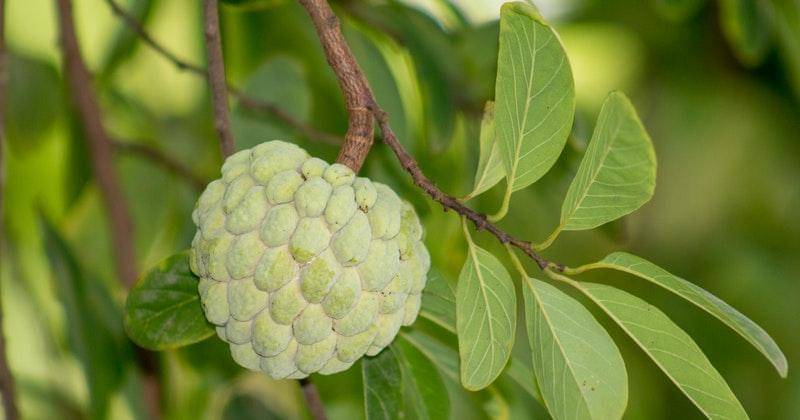 Pexels/Stock Photography