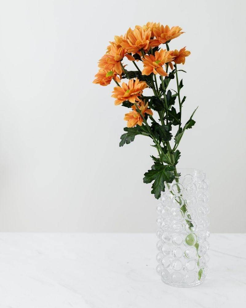 Pexels/karolina-grabowska