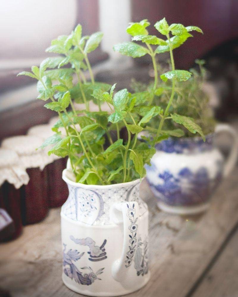 Pexels/punchbrandstock