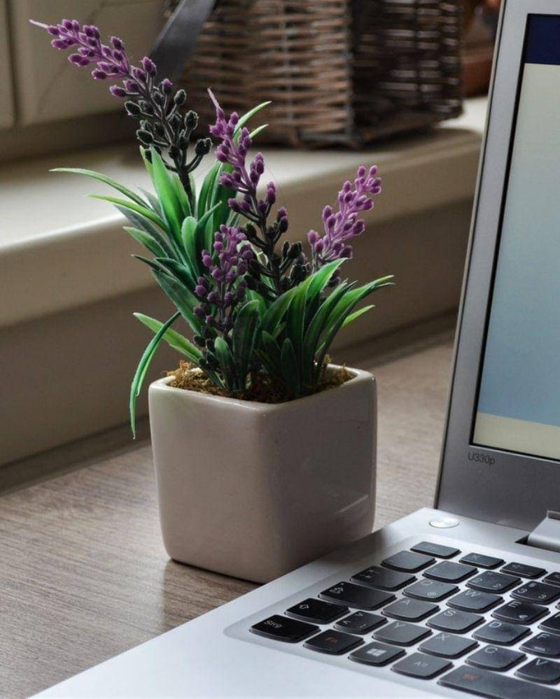 Pexels/tobias-dziuba-319638