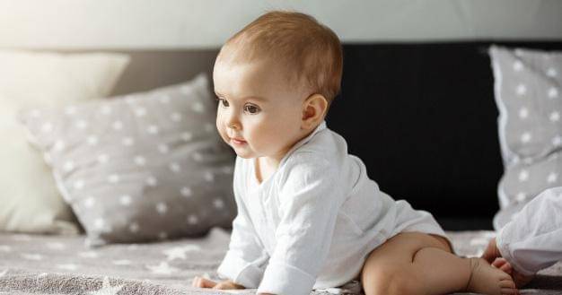 Freepik/cookie_studio