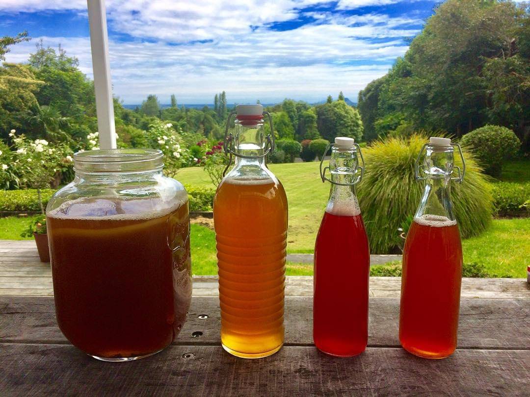 Instagram/accidentalkiwi