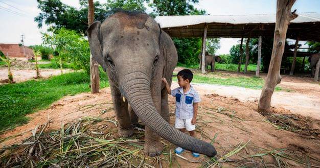 Freepik/Numberone9018