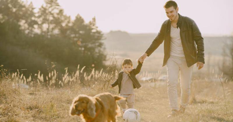 Pexels/Gustavo Fring