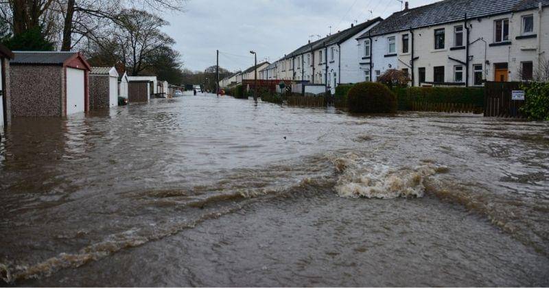 Ilustrasi - Unsplash/chriswebdog