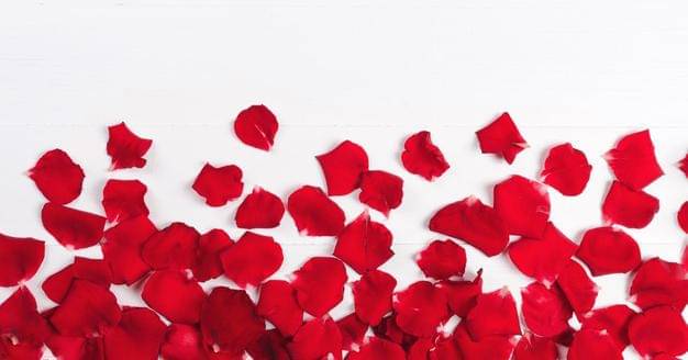 Freepik/Anastasia286