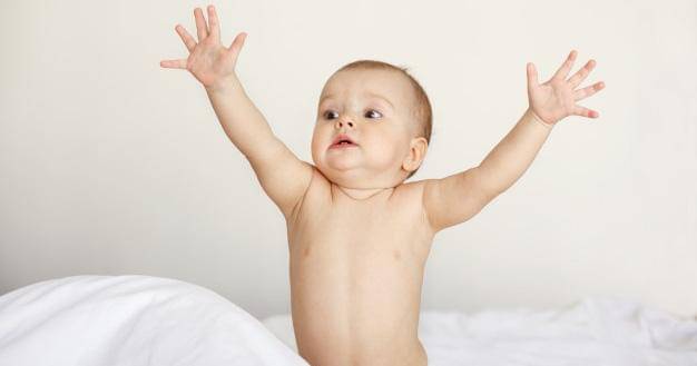 Freepik/cookie_studio