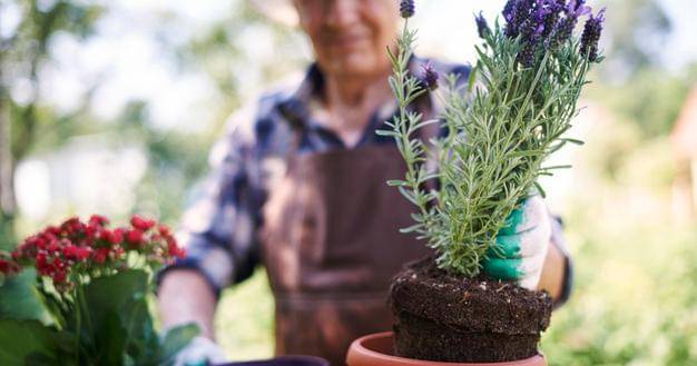 Freepik/gpointstudio