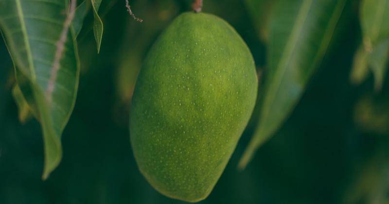 Pexels/Messala Ciulla