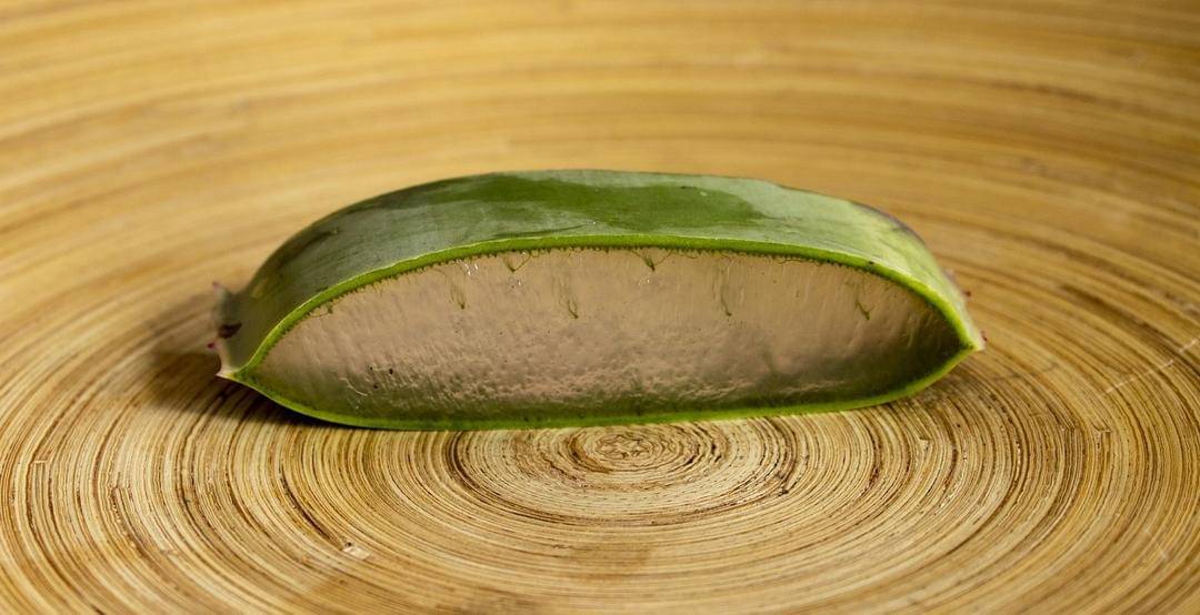 Pixabay/MetsikGarden