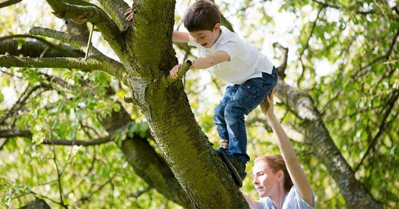 Treesunlimitednj.com