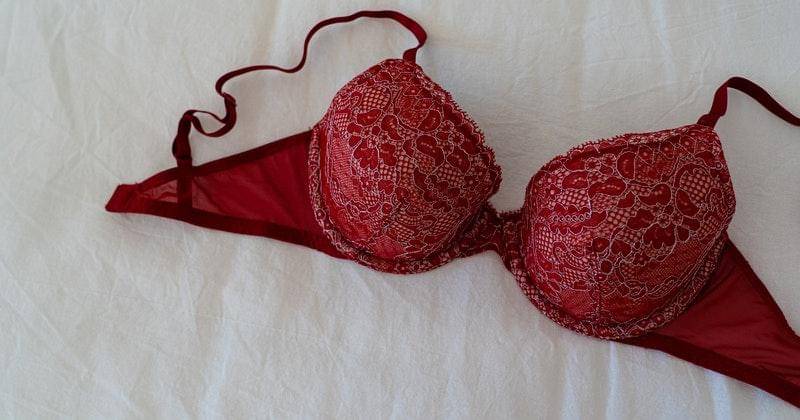 Pexels/Castorly Stock