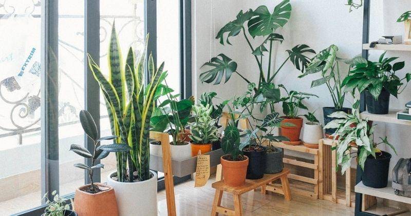 Pexels/huy-phan-316220