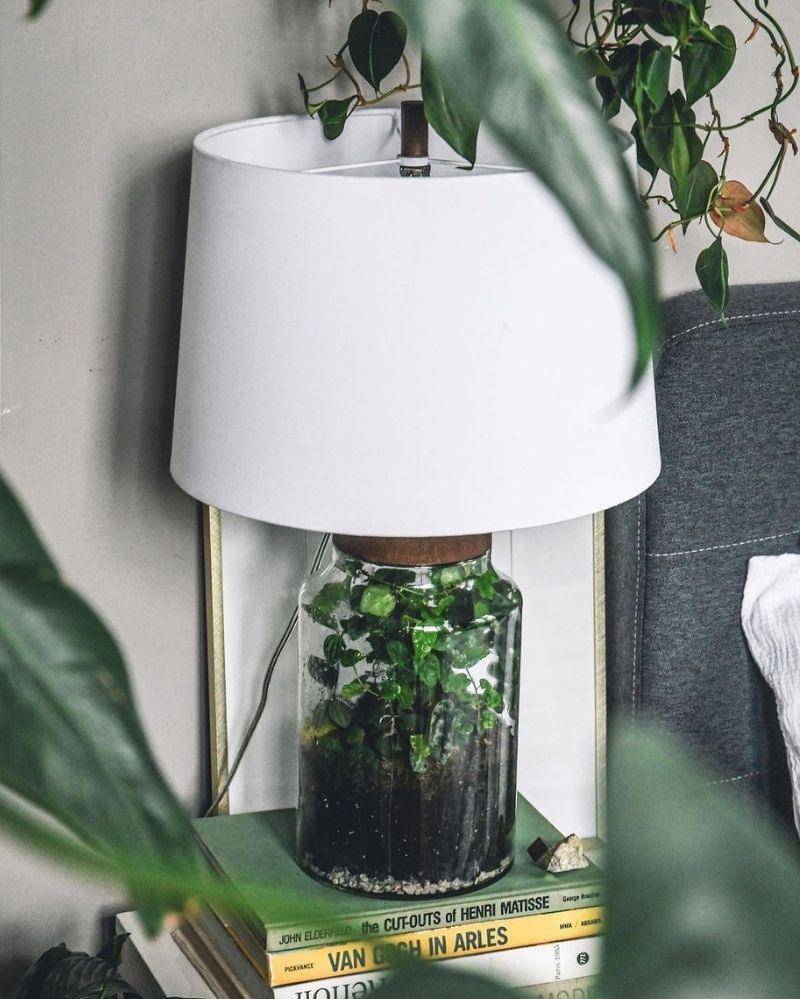 Instagram/hiltoncarter