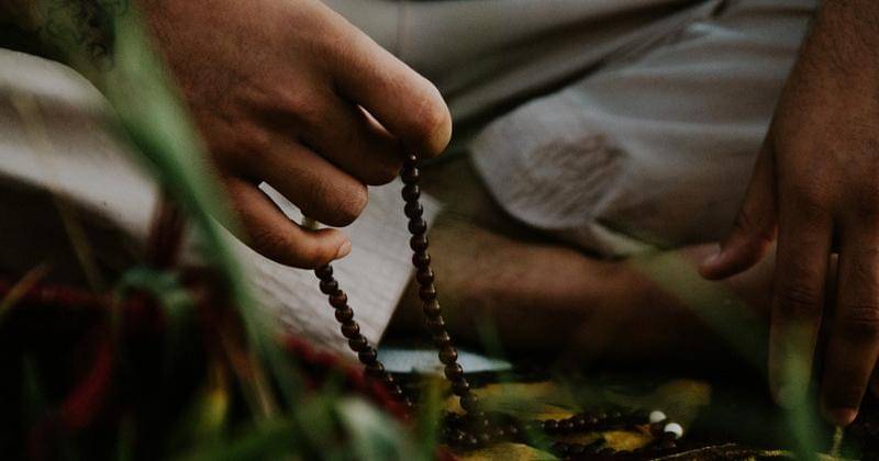 Pexels/Herbert Santos