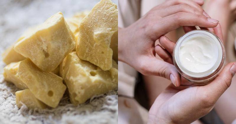 Pixabay/Zichrini and Pexels/Cottonbro