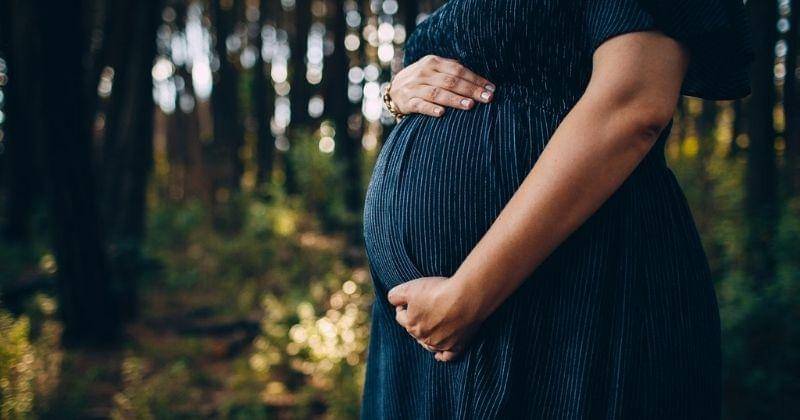 Pexels/wildlittlethingsphoto