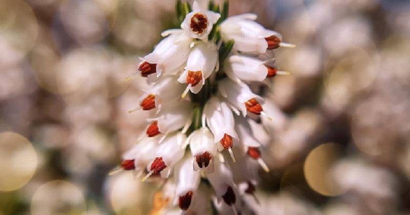 Freepik/user14666895