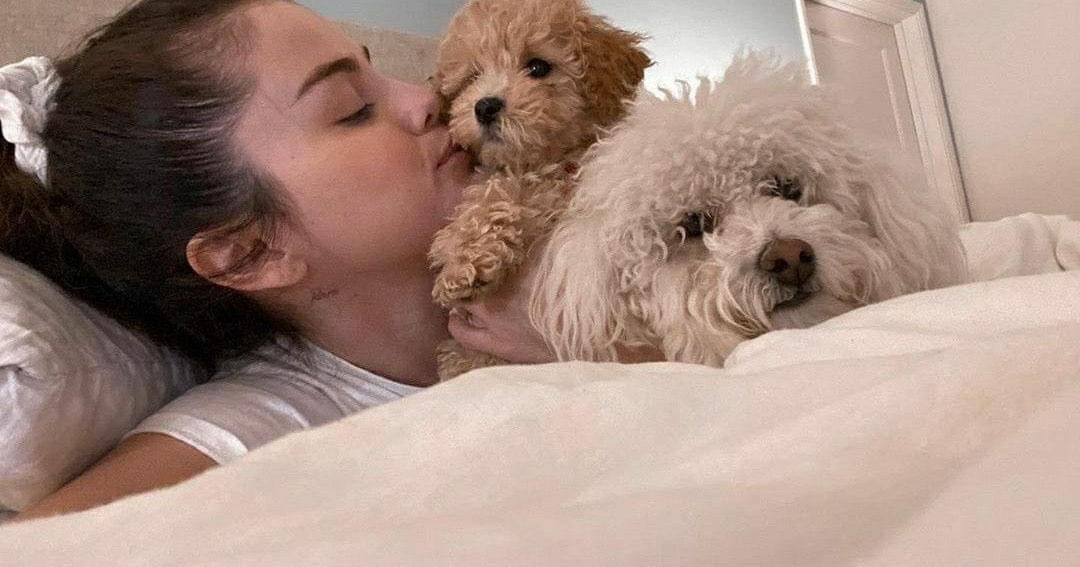 Twitter.com/Worldwideselg