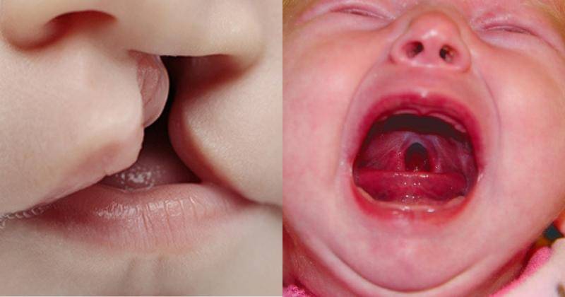 stemcell.keck.usc.edu