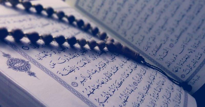 pexels/tayeb-mezahdia