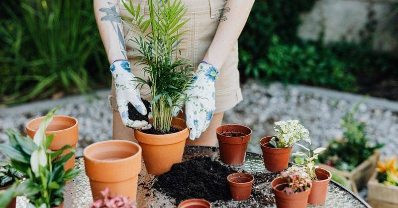 pexels/karolina-grabowska