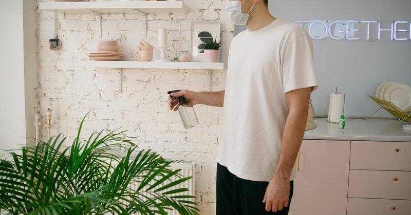 pexels/polina-zimmerman