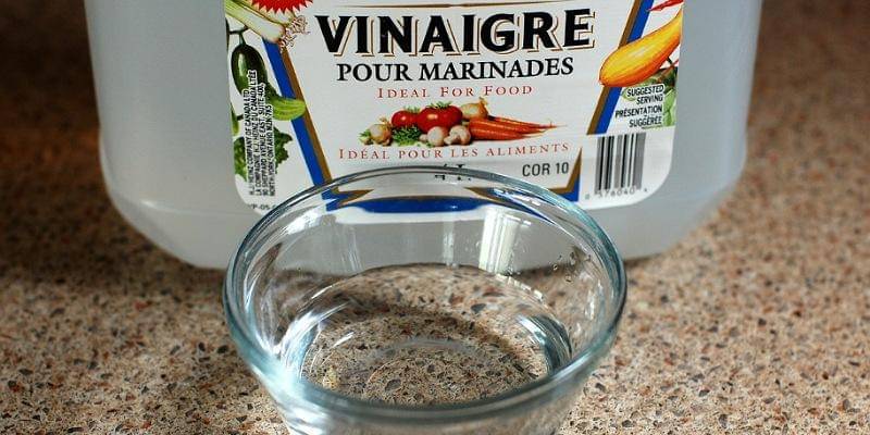 Pixabay/NatureFriend