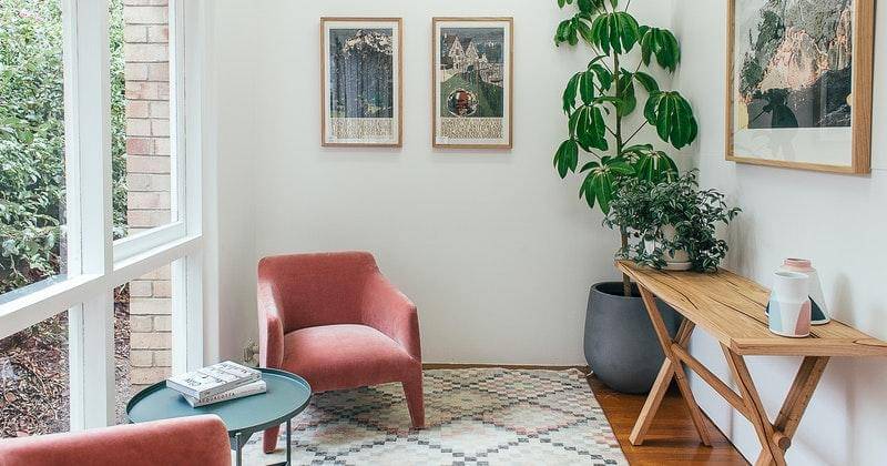 pexels/rachel-claire