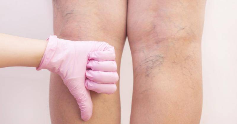 Freepik/lev.studio.x