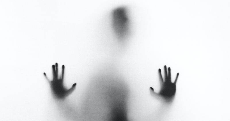 Unsplash/Stefano Pollio