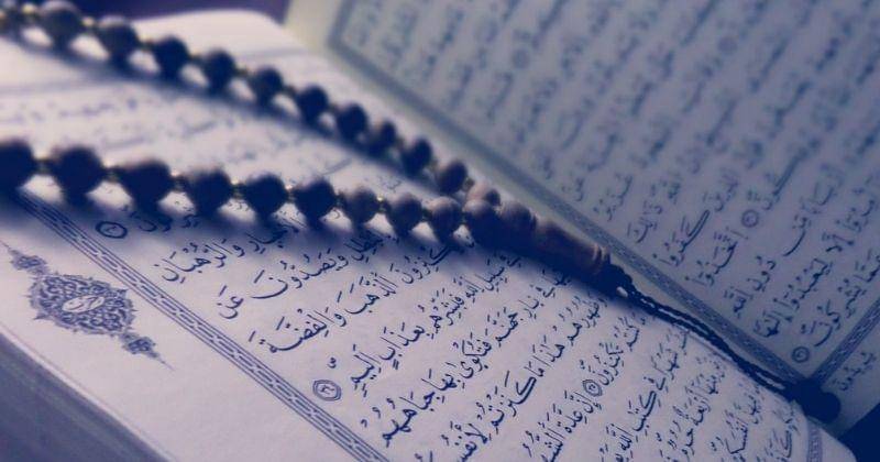 Pexels/tayebmezahdia