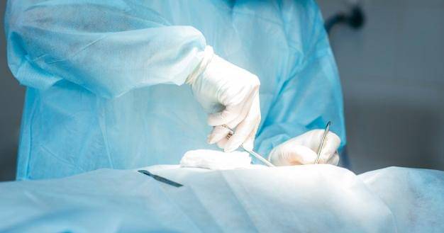 Freepik/Stokerphotos