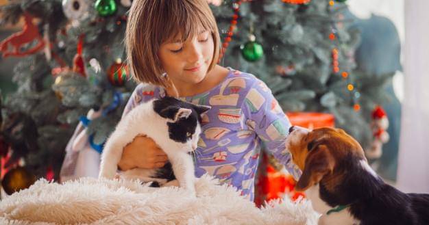 Freepik/Freepic-diller