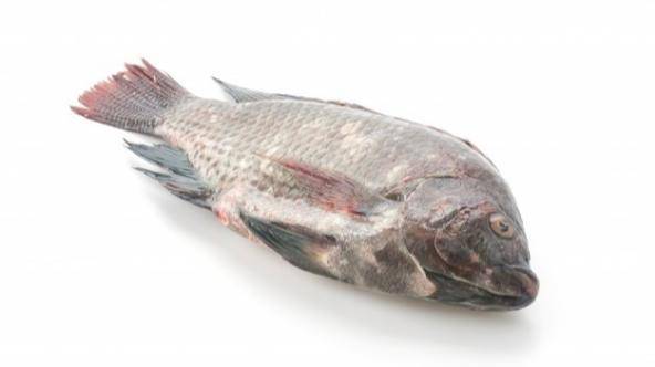7 Manfaat Ikan Nila untuk Tumbuh Kembang Anak