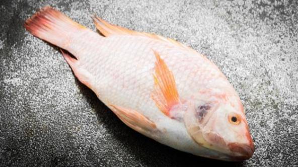 Freepik/lifeforstock