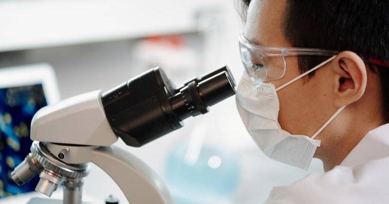 Pexels/edward-jenner