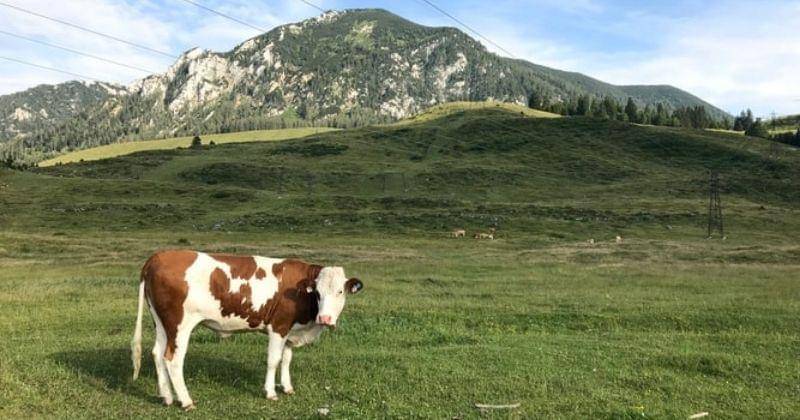 Unsplash/Taras Kasich