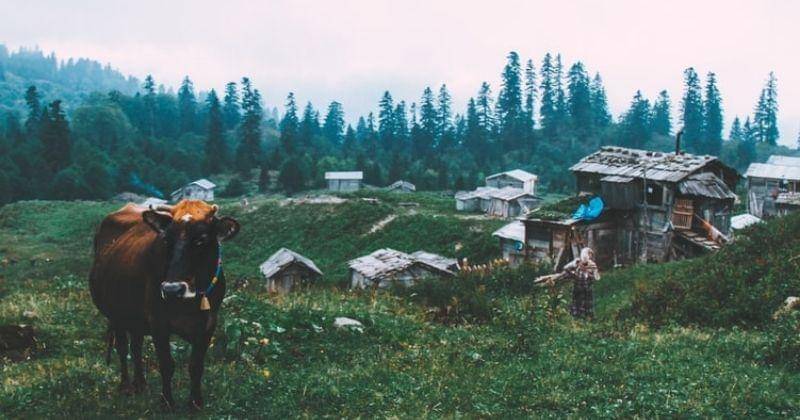 Unsplash/Ilker Simsekcan