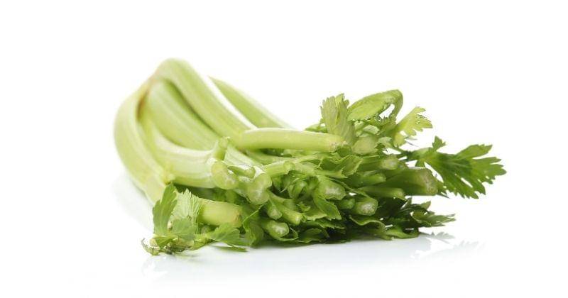 Freepik/racool-studio