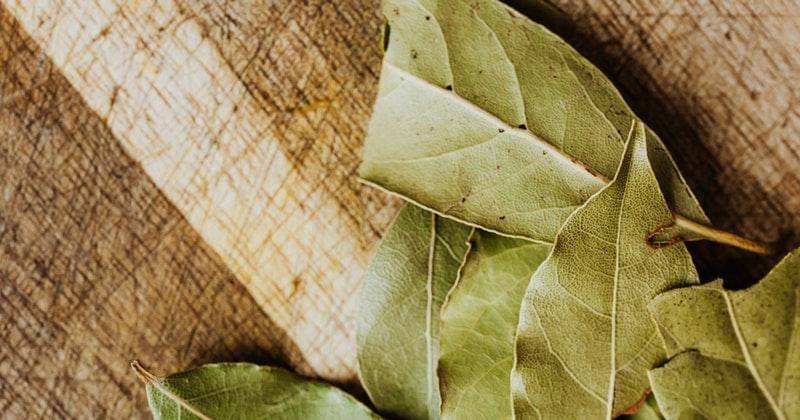 Pexels/karolina-grabowska