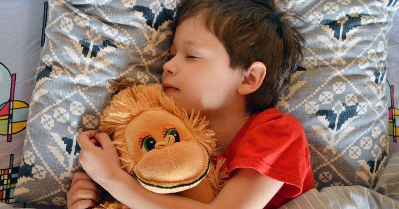 Pixabay/Victoria_Borodinova