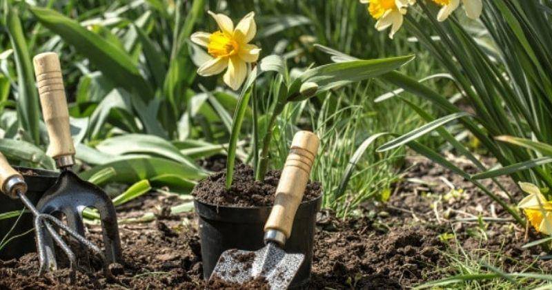 Freepik/pvproductions