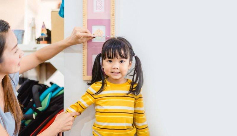 Shutterstok/MIA Studio