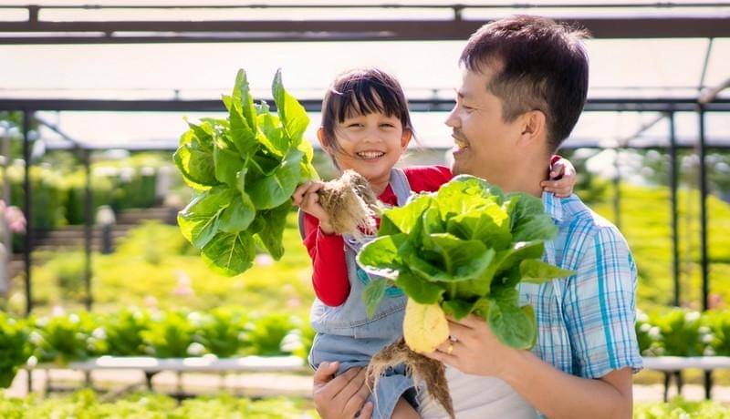 Shutterstock/SUKJAI PHOTO