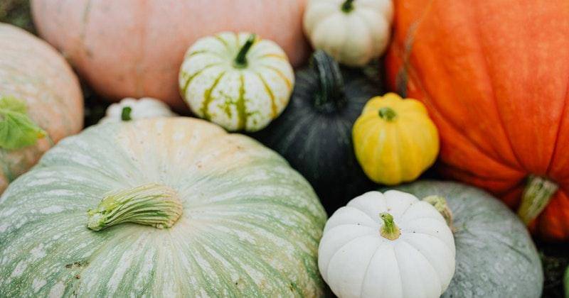 Pexels/karolina-grabowska