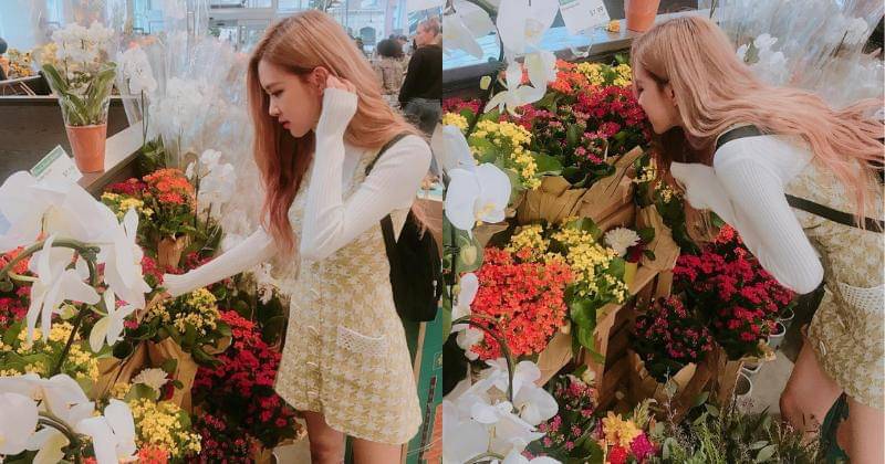 Instagram.com/roses_are_rosie